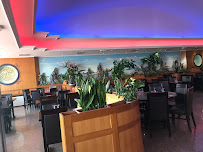 Atmosphère du Restaurant asiatique Royal Wok à Saint-Vigor-le-Grand - n°17