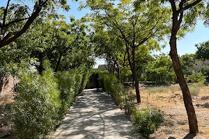 Dhamma Marudhara Vipassana Meditation Centre, Jodhpur image