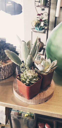 Florist «Timp Valley Floral», reviews and photos, 445 E State St, American Fork, UT 84003, USA