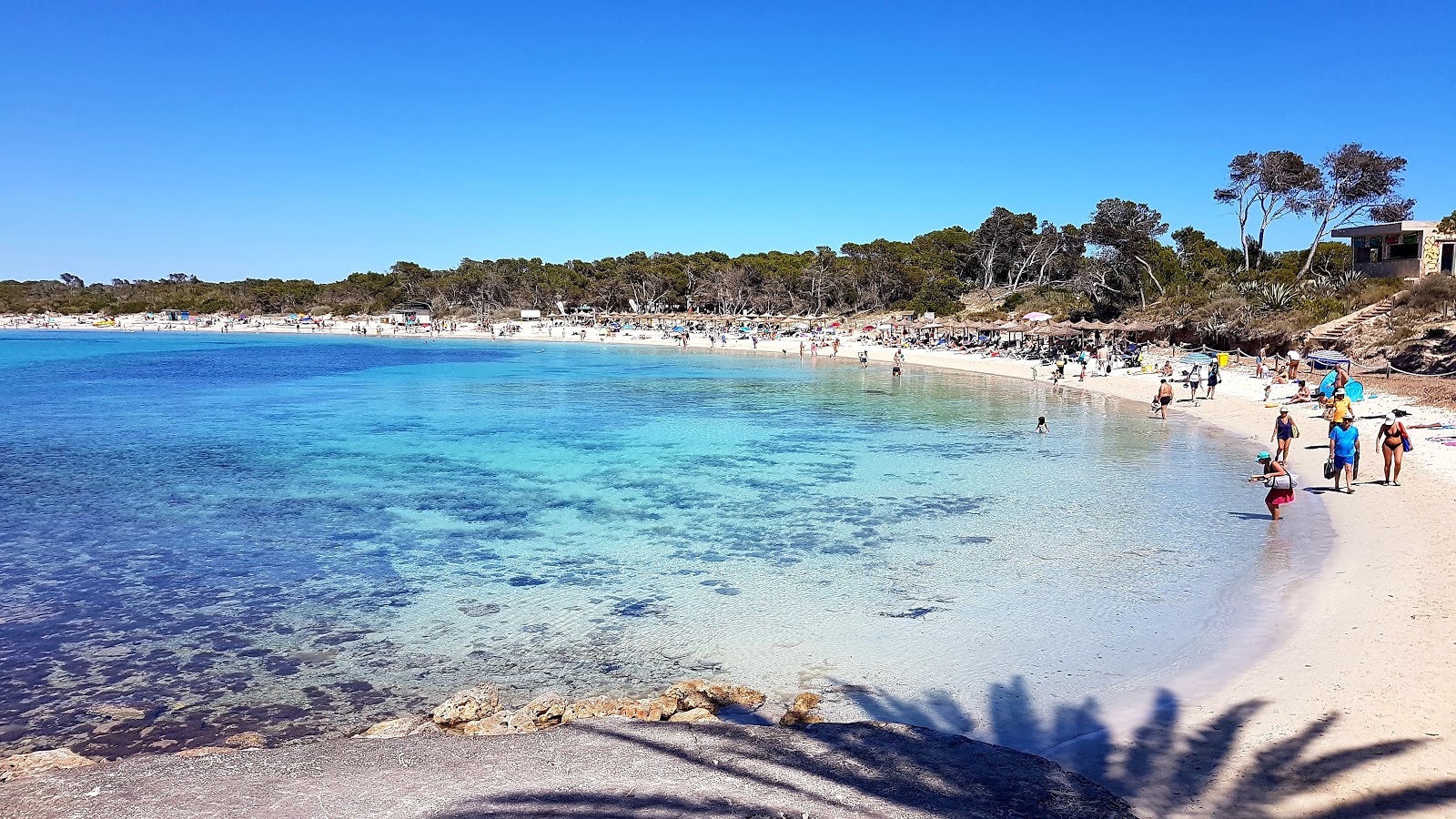 Fotografie cu Plaja Moli de s'Estany - locul popular printre cunoscătorii de relaxare