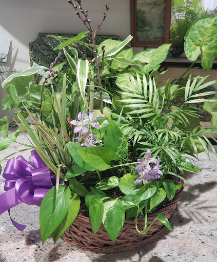 Florist «Carrolls Florist of Beverly», reviews and photos, 385 Cabot St, Beverly, MA 01915, USA