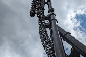 Screaming Condor image