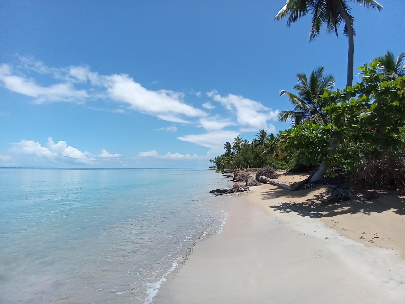 Photo of Sublime Beach Las Terrenas with turquoise pure water surface