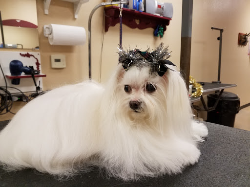 Diamond in the Ruff Pet Salon