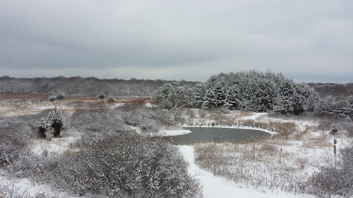 Natural History Museum «South Fork Natural History Museum & Nature Center», reviews and photos, 377 Bridgehampton-Sag Harbor Turnpike, Bridgehampton, NY 11932, USA