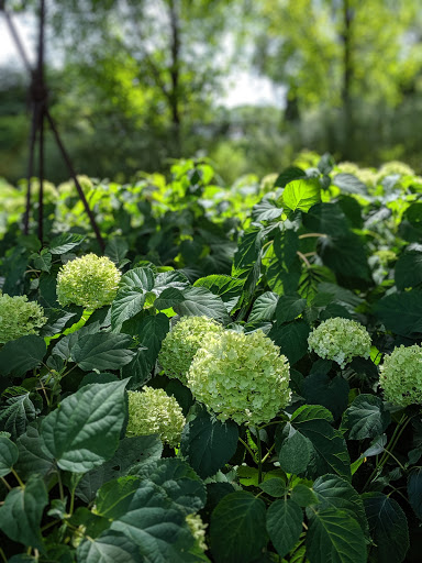 Art Museum «Villa Terrace Decorative Arts Museum», reviews and photos, 2220 N Terrace Ave, Milwaukee, WI 53202, USA