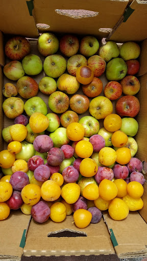 Grocery Store «Grocery Outlet Bargain Market», reviews and photos, 426 W Harder Rd, Hayward, CA 94544, USA