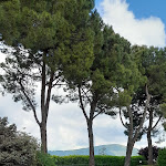 Photo n°2 de l'avis de Angelo.a fait le 07/04/2024 à 18:37 sur le  PUT DE FER à Adro