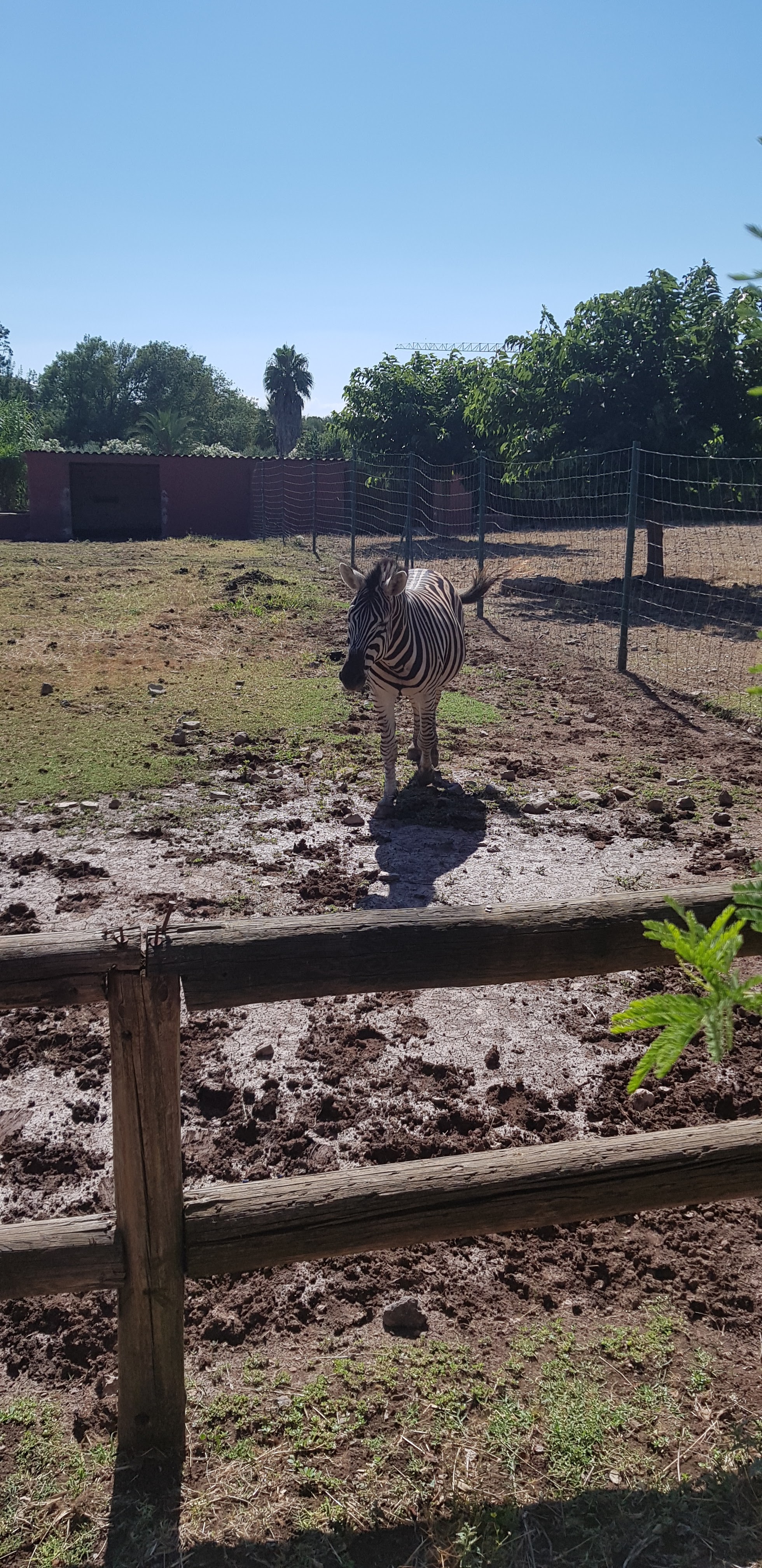 Photo n° 46 de l'avis de stephanie.a fait le 05/08/2018 à 15:29