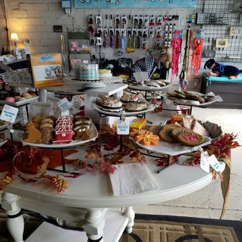 Pet Store «The Upper Paw», reviews and photos, 2809 Commerce St, Dallas, TX 75226, USA