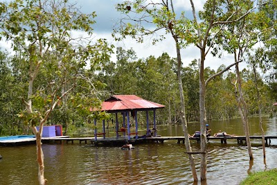 Photos of Wasur National Park