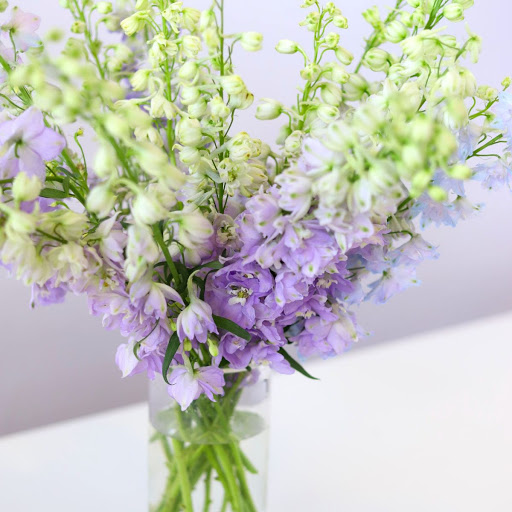 Florist «Farmgirl Flowers», reviews and photos, 901 16th St, San Francisco, CA 94107, USA