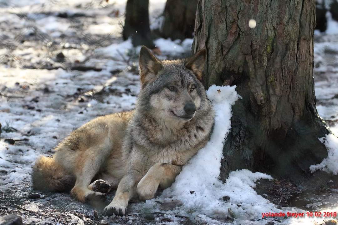 Photo n° 2 de l'avis de yolande.r fait le 24/10/2023 à 19:03