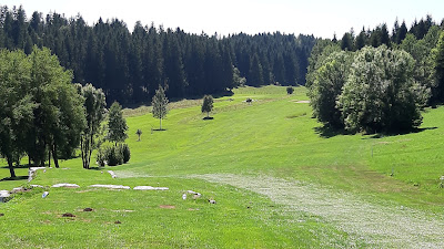 Golf de Pontarlier à Pontarlier
