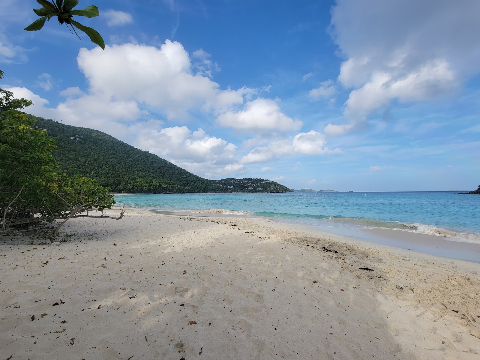 Fotografija Little Cinnamon beach divje območje