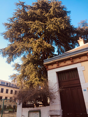 Collège Louise de Savoie à Chambéry