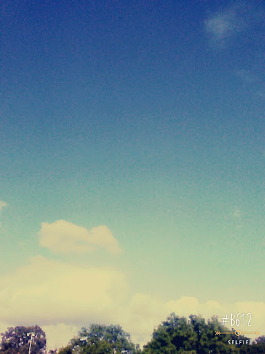 Golf Course «Page Belcher Golf Course», reviews and photos, 6666 S Union Ave, Tulsa, OK 74132, USA