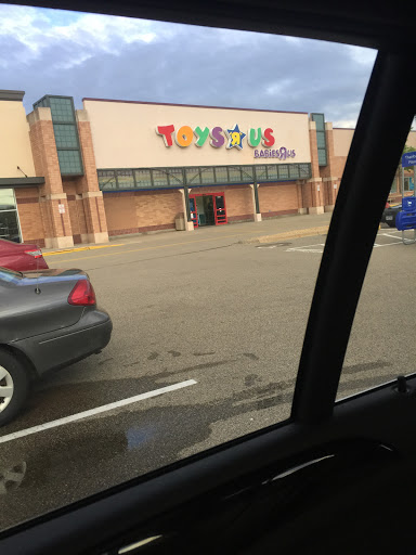 Toy Store «Toys