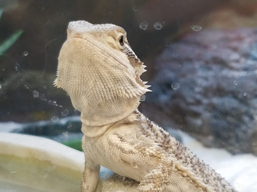 Pet Supply Store «Petco Animal Supplies», reviews and photos, 1951 N Military Trl c, West Palm Beach, FL 33409, USA