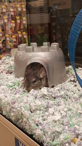 Pet Supply Store «PetSmart», reviews and photos, 901 US-1, North Brunswick Township, NJ 08902, USA