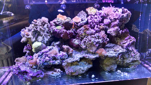 Aquarium «Coral Sea Aquariums», reviews and photos, 1373 N Military Trl, West Palm Beach, FL 33409, USA