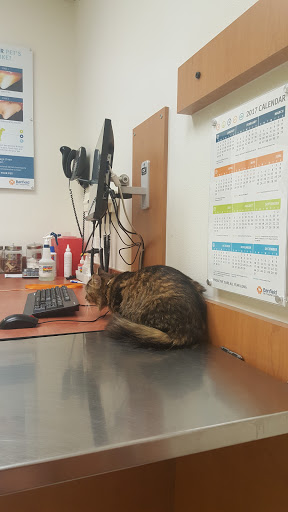 Pet Supply Store «PetSmart», reviews and photos, 13241 Gateway Center Dr, Gainesville, VA 20155, USA