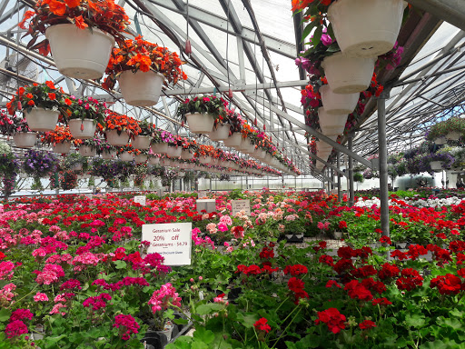 Produce Market «Didier Farms», reviews and photos, 16678 Aptakisic Rd, Lincolnshire, IL 60069, USA