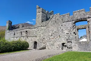 Carlingford Priory image