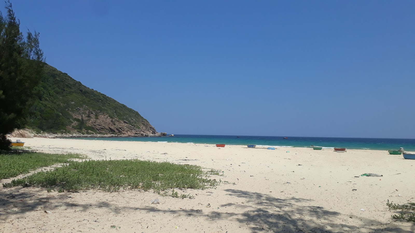 Foto de Bai Nom Beach ubicado en área natural