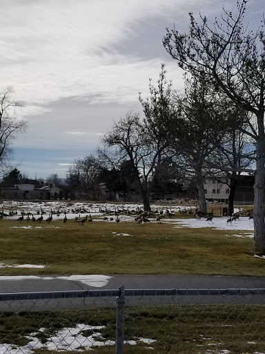 Golf Club «Mountain View Golf Course», reviews and photos, 2400 Gardner Ln, West Jordan, UT 84088, USA