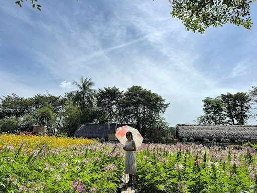 Top 20 cửa hàng cây kiểng Thành phố Phan Thiết Bình Thuận 2022