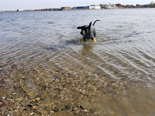 Park «Dorchester Shores Reservation Victory Road Park», reviews and photos, Victory Rd, Dorchester, MA 02122, USA