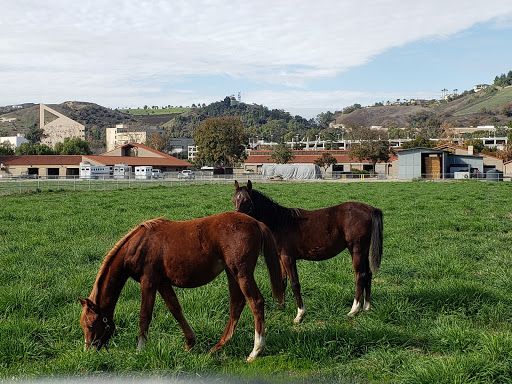 Horse breeder El Monte