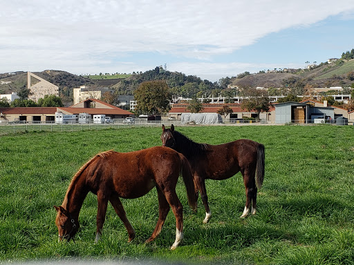 W.K. Kellogg Arabian Horse Center