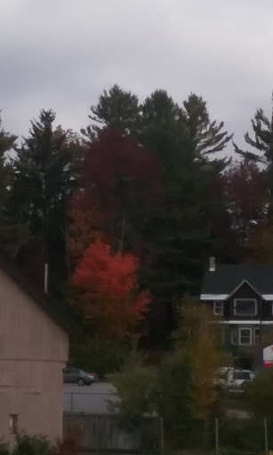 Dollar Store «Family Dollar», reviews and photos, 245 Broadway St #2, Saranac Lake, NY 12983, USA