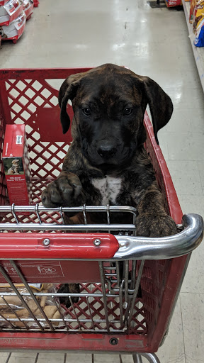 Home Improvement Store «Tractor Supply Co.», reviews and photos, 710 NE US 24 HWY, Topeka, KS 66608, USA