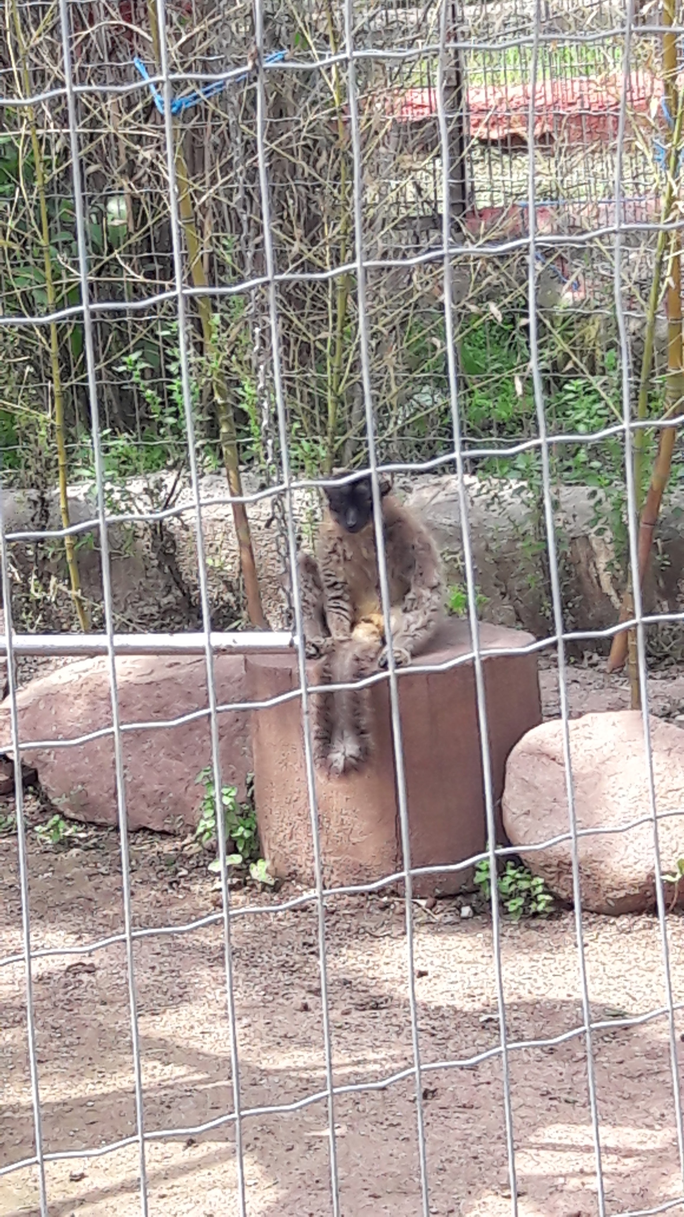 Photo n° 3 de l'avis de Laurence. fait le 09/05/2018 à 15:40