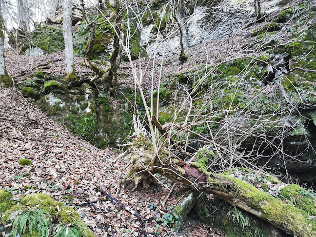 Пещера Понора - Враца
