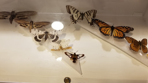 Natural History Museum «George B. Dorr Museum of Natural History», reviews and photos, 105 Eden St, Bar Harbor, ME 04609, USA
