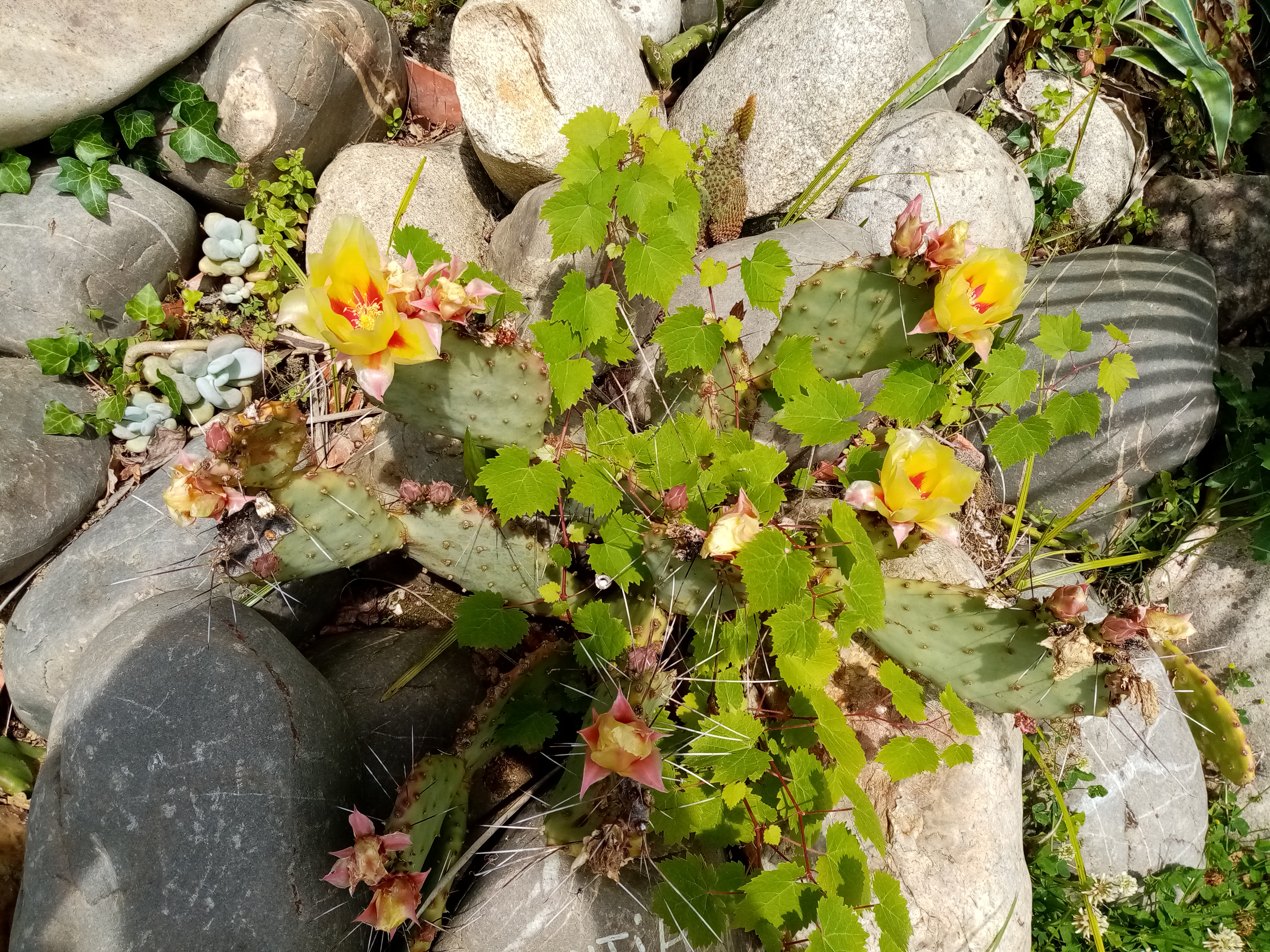 Photo n° 2 de l'avis de Christiane.o fait le 23/06/2019 à 16:49
