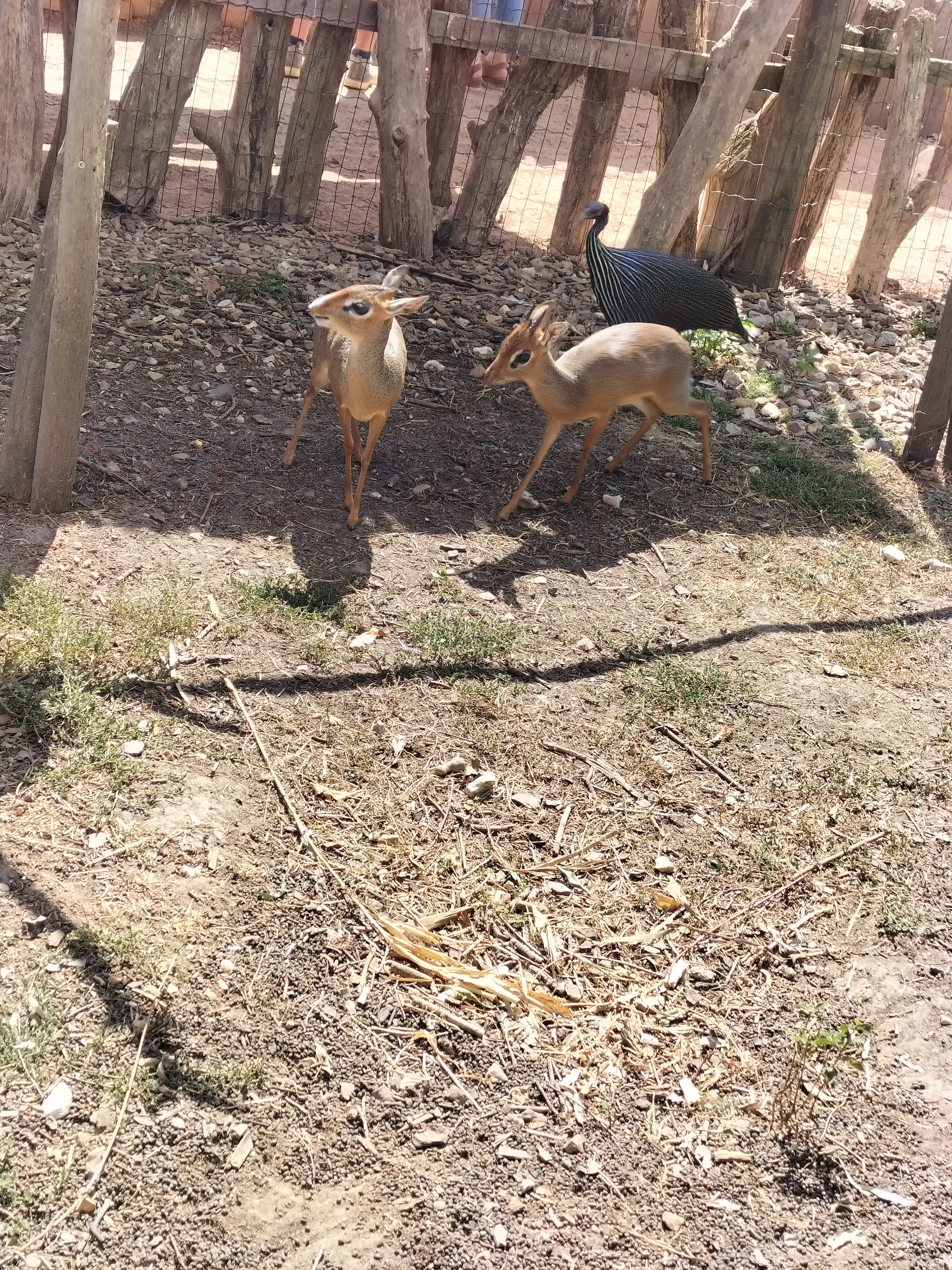 Photo n° 3 de l'avis de Charline.e fait le 07/07/2018 à 13:08