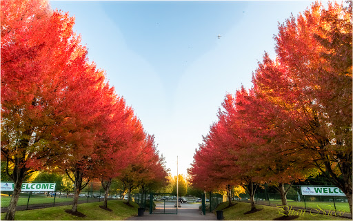 Park «Celebration Park», reviews and photos, 1095 S 324th St, Federal Way, WA 98003, USA