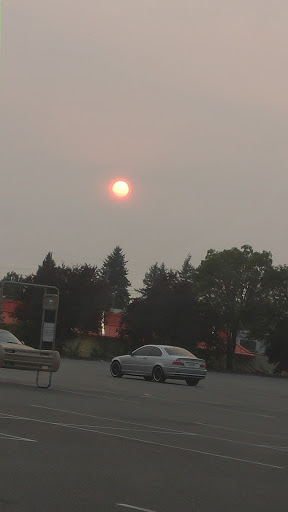 Dollar Store «Dollar Tree», reviews and photos, 6111 6th Ave, Tacoma, WA 98406, USA