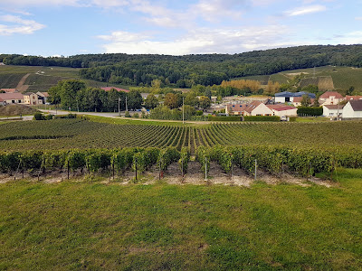 Champagne Louis Huot Fils à Saint-Martin-d'Ablois