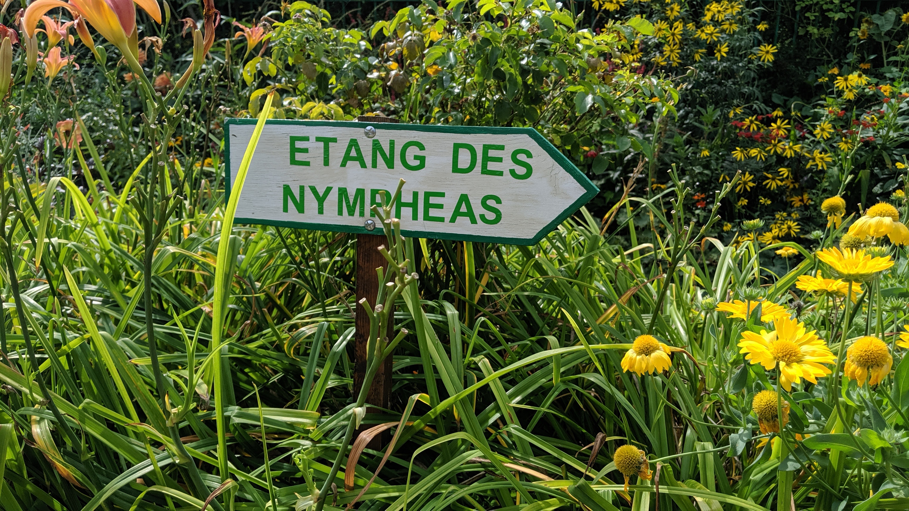 Photo n° 29 de l'avis de Tristan.a fait le 09/08/2021 à 16:22