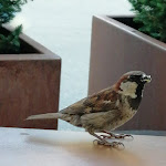 Photo n°1 de l'avis de Maria.a fait le 16/08/2019 à 08:14 sur le  Paprika à Livigno