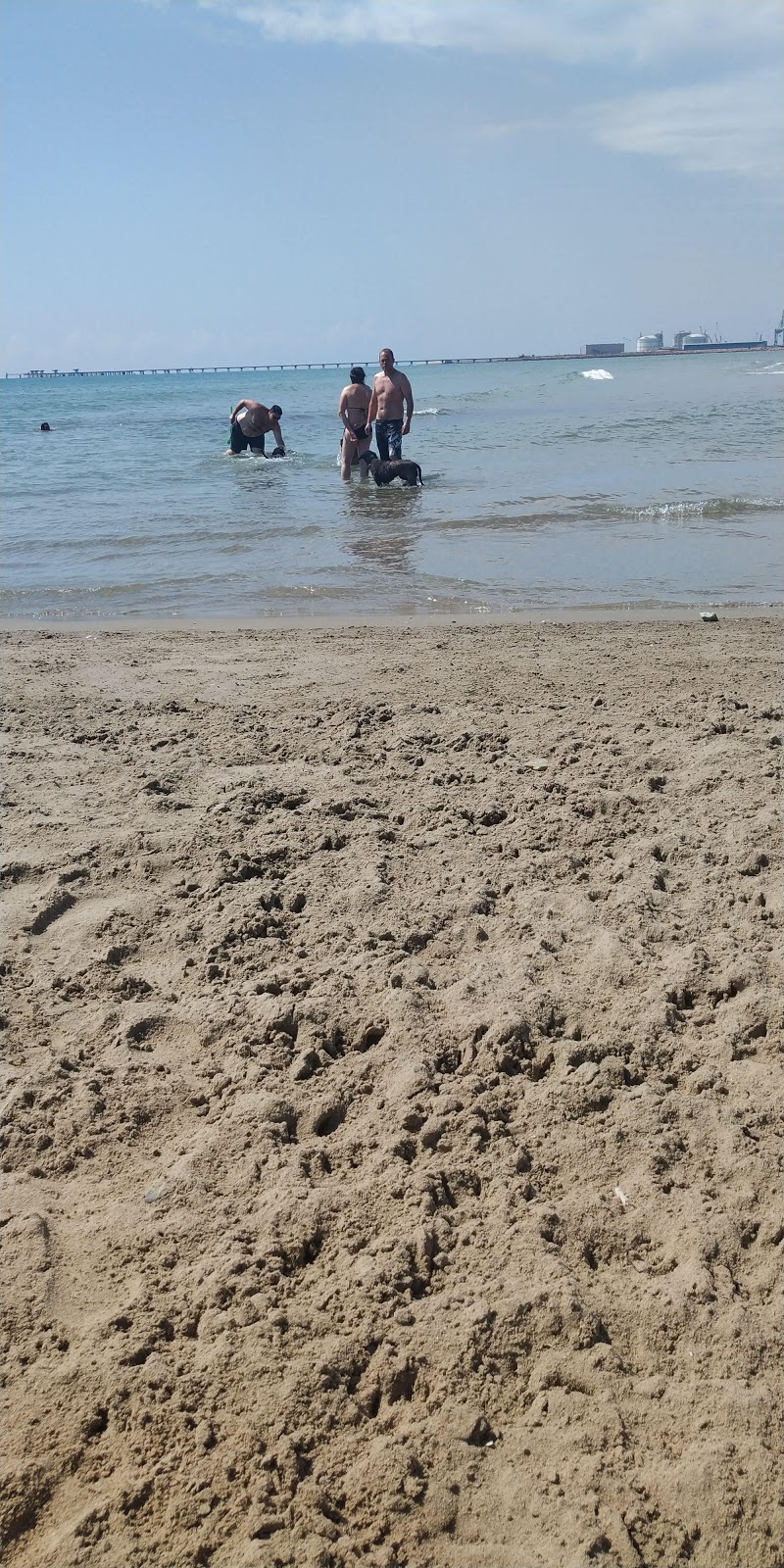 Playa de Canet'in fotoğrafı kahverengi kum yüzey ile