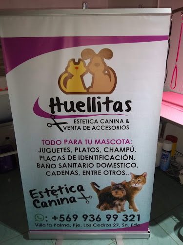 Opiniones de Deisy Pets Peluquería Canina en San Fernando - Peluquería