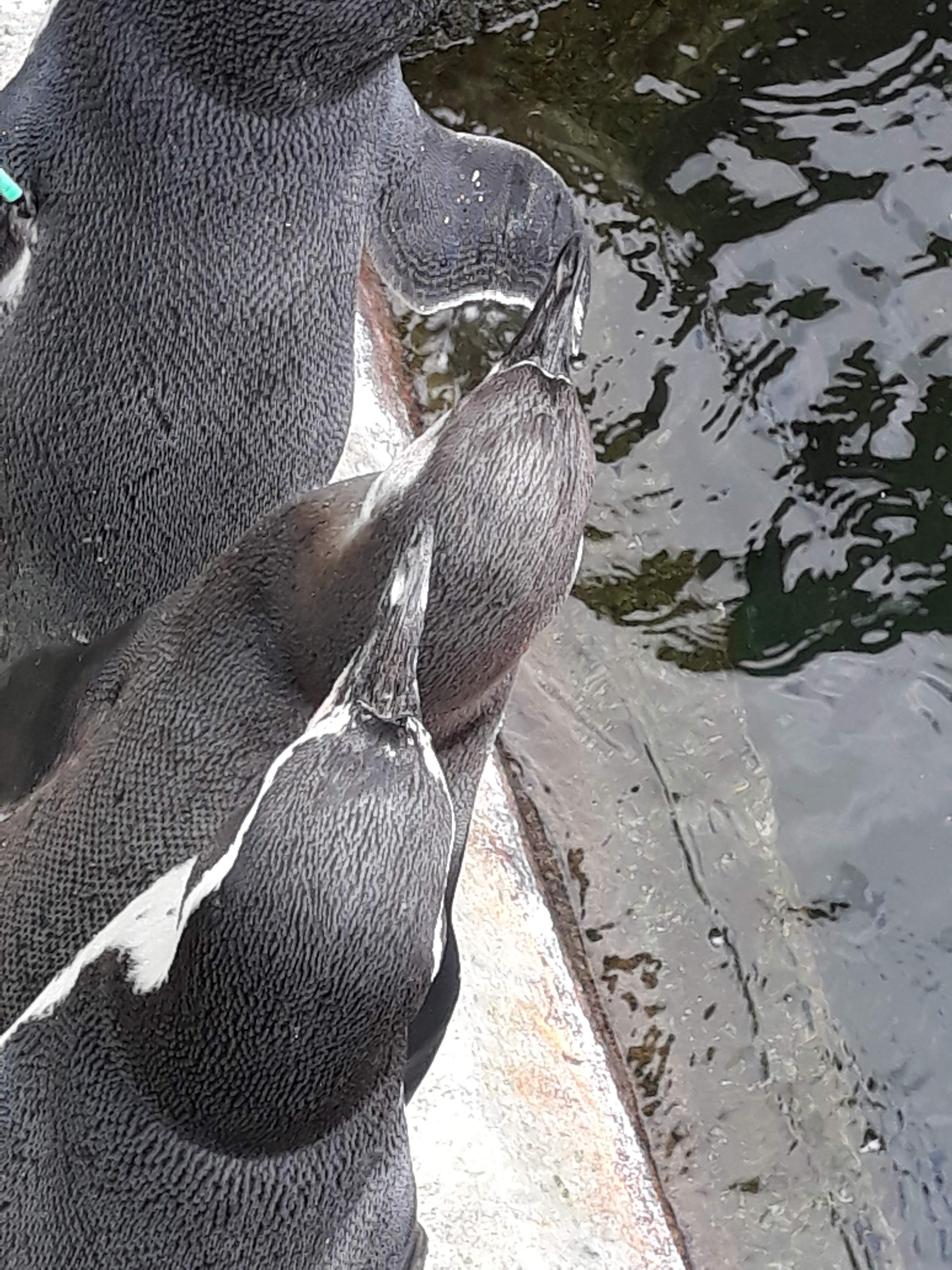 Photo n° 35 de l'avis de Ludo.a fait le 30/08/2021 à 17:15