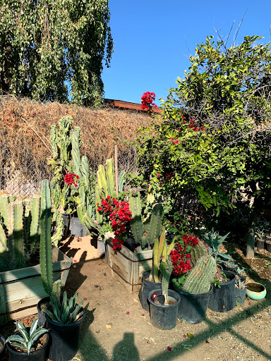 Gas Station «Circle K», reviews and photos, 12707 W Grand Ave, Surprise, AZ 85374, USA